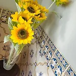 Zion Jardim Bed & Breakfast
