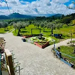 Zion Jardim *