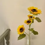 Bed & Breakfast Zion Jardim Monsanto