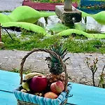Zion Jardim * Monsanto