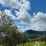 Zion Jardim Bed & Breakfast *