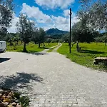 Bed & Breakfast Zion Jardim Monsanto