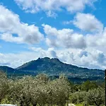 Zion Jardim
