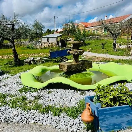 Bed & Breakfast Zion Jardim