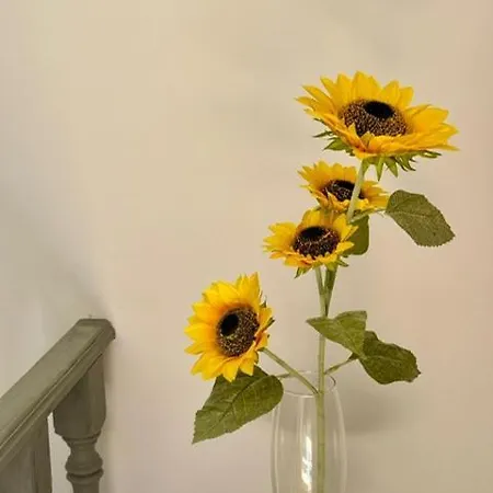 ベッド・アンド・ブレックファスト Zion Jardim モンサント