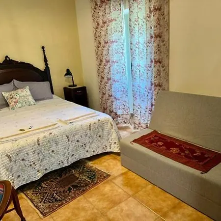 Zion Jardim モンサント