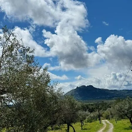 Zion Jardim Bed & Breakfast *