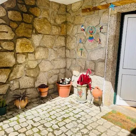 Zion Jardim * モンサント