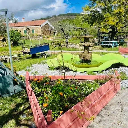 Bed & Breakfast Zion Jardim