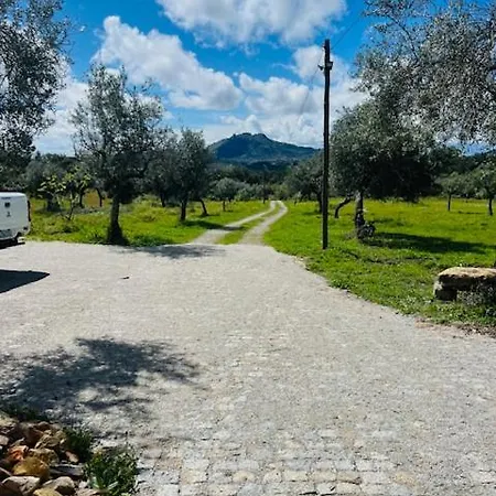Oda ve Kahvaltı Zion Jardim Monsanto