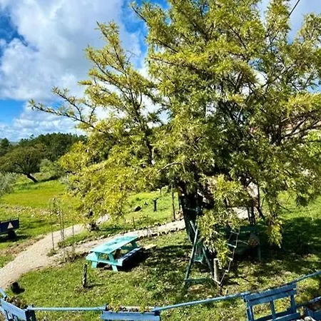 Zion Jardim Monsanto