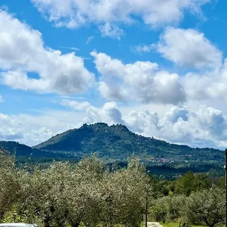 Zion Jardim