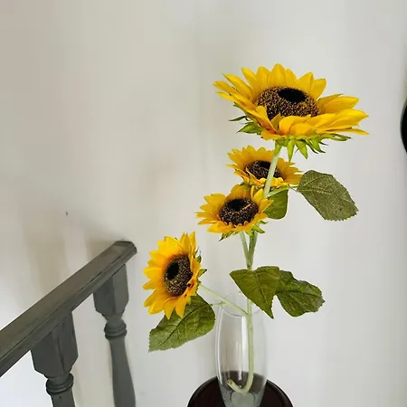 Zion Jardim ベッド・アンド・ブレックファスト