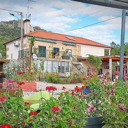 Oda ve Kahvaltı Zion Jardim Monsanto