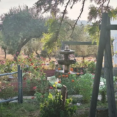 Zion Jardim Monsanto