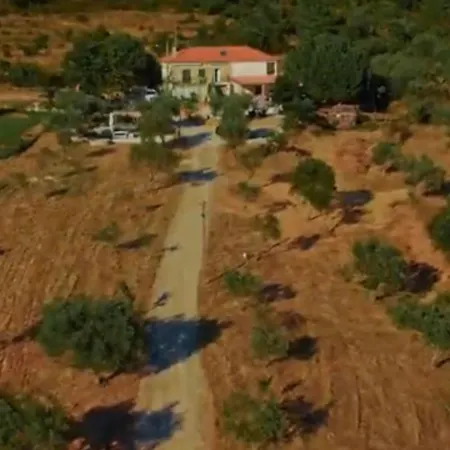 Zion Jardim Bed and Breakfast Monsanto