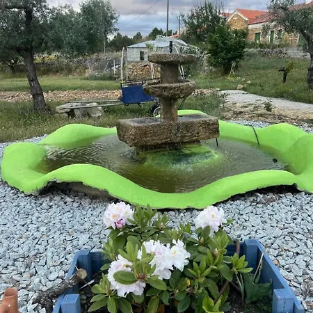 Zion Jardim