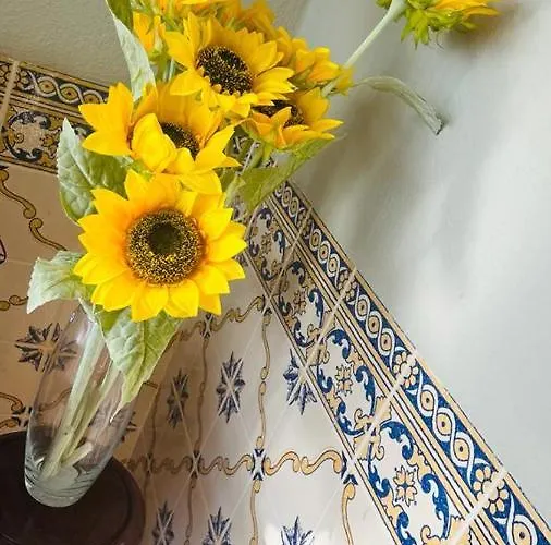 Zion Jardim Bed & Breakfast