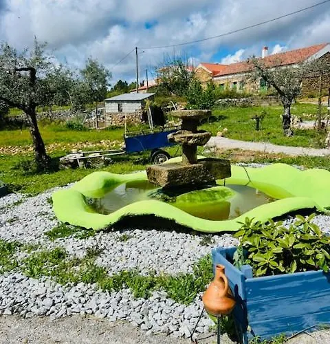 Panzió Zion Jardim