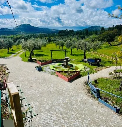Zion Jardim *