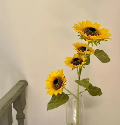 Bed & Breakfast Zion Jardim Monsanto