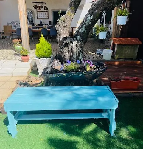 Bed & Breakfast Zion Jardim *