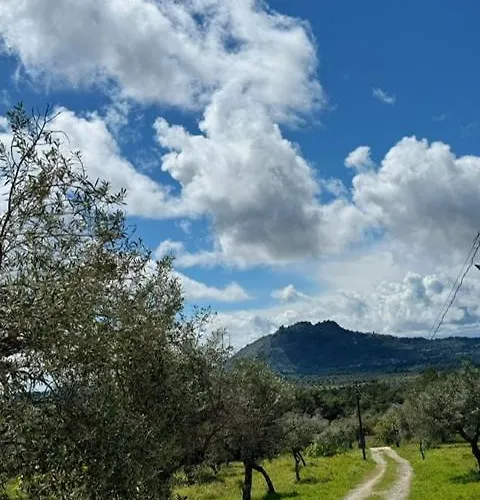 Zion Jardim Bed & Breakfast *