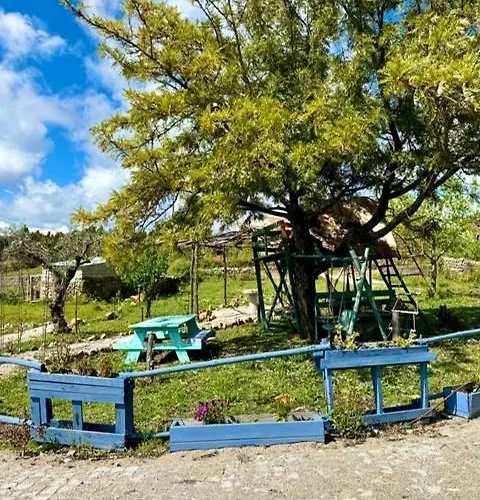 Zion Jardim *