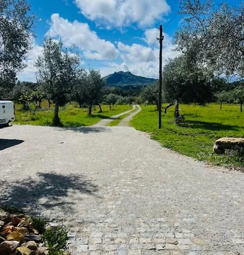 Panzió Zion Jardim Monsanto