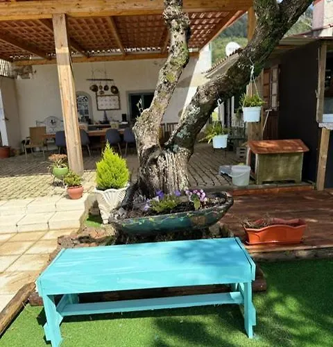 Zion Jardim *