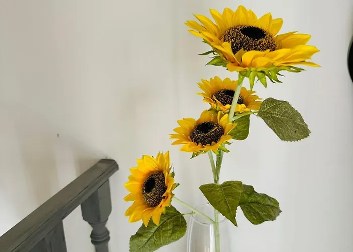 Zion Jardim Bed & Breakfast