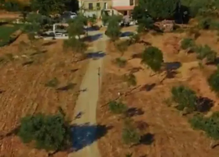 Zion Jardim Bed & Breakfast Monsanto