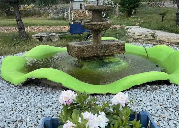 Zion Jardim