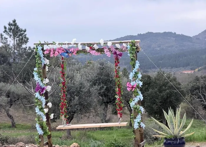 Panzió Zion Jardim
